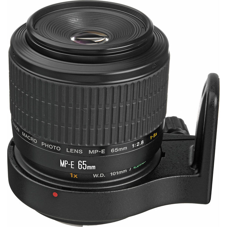 Canon MP-E65mm f/2.8 1-5 x Macro