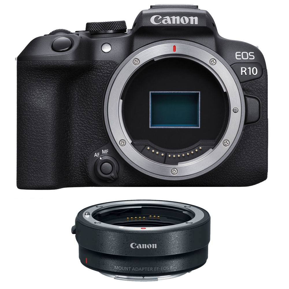 Canon EOS R10 + EF-EOS R mount adapter