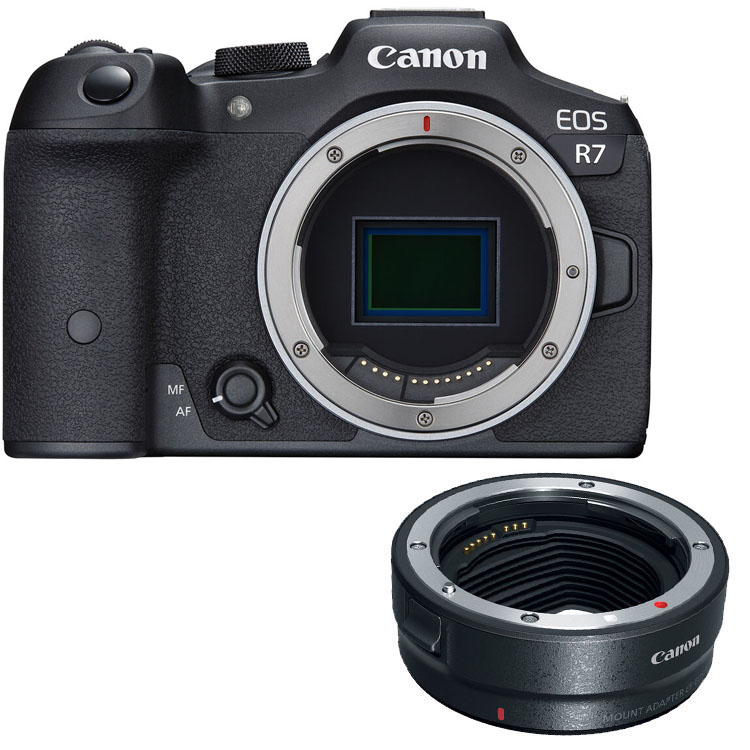 Canon EOS R7 + EF-EOS R mount adapter