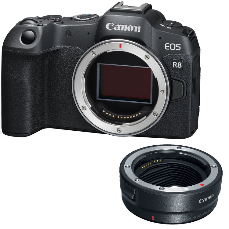 Canon EOS R8 + EF-EOS R mount adapter