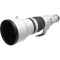 Canon RF 600mm f/4L IS USM Lens - view 4